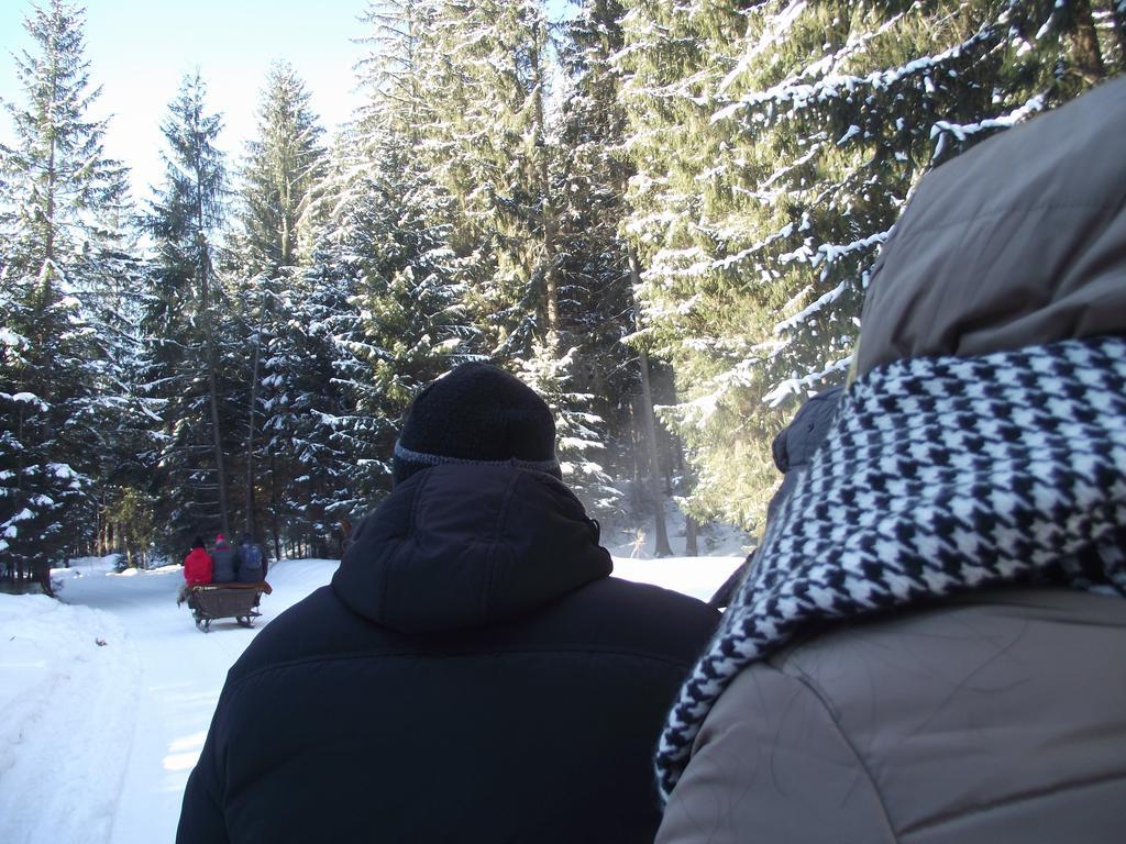 Cabana Piatra Runcului Vatra Moldoviței Kültér fotó