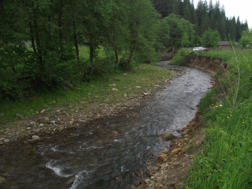 Cabana Piatra Runcului Vatra Moldoviței Kültér fotó