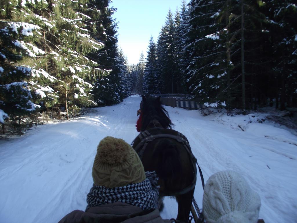 Cabana Piatra Runcului Vatra Moldoviței Kültér fotó