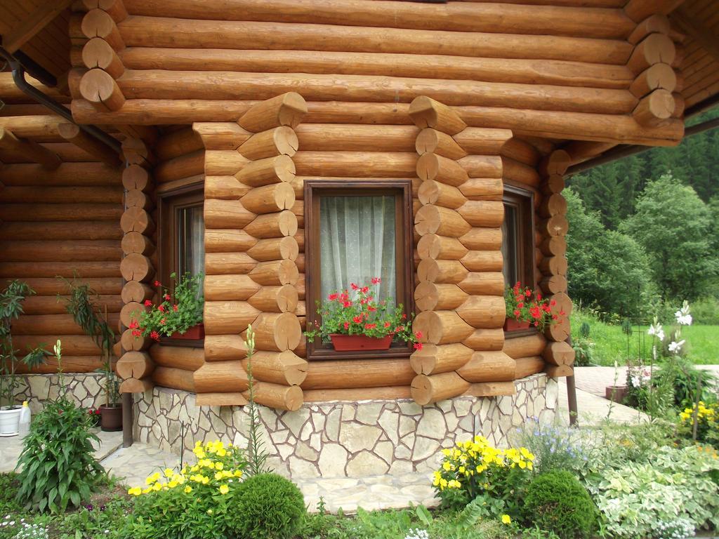 Cabana Piatra Runcului Vatra Moldoviței Kültér fotó