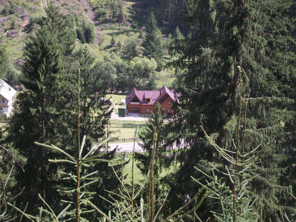 Cabana Piatra Runcului Vatra Moldoviței Kültér fotó